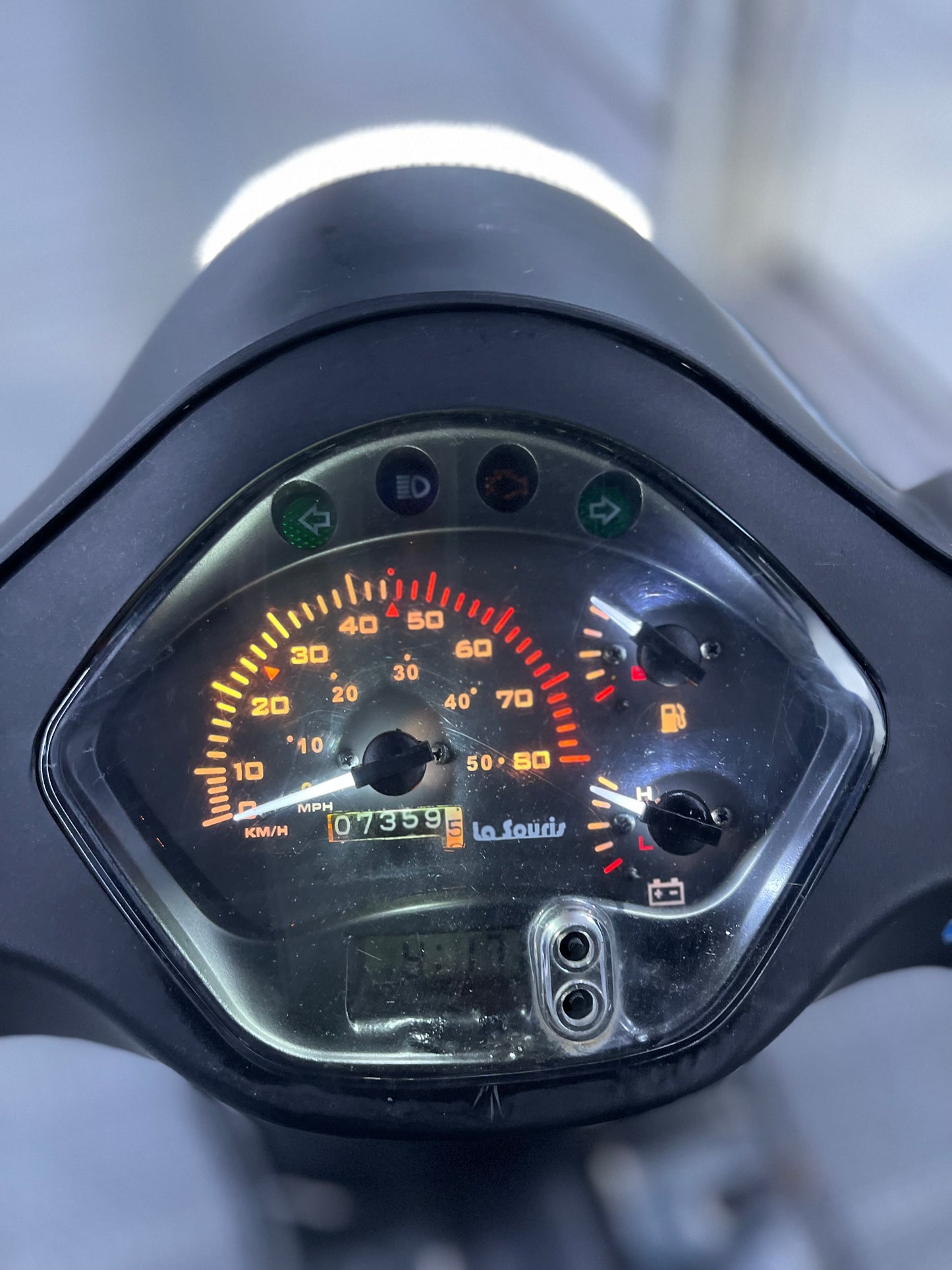 La Souris Sourini 2024