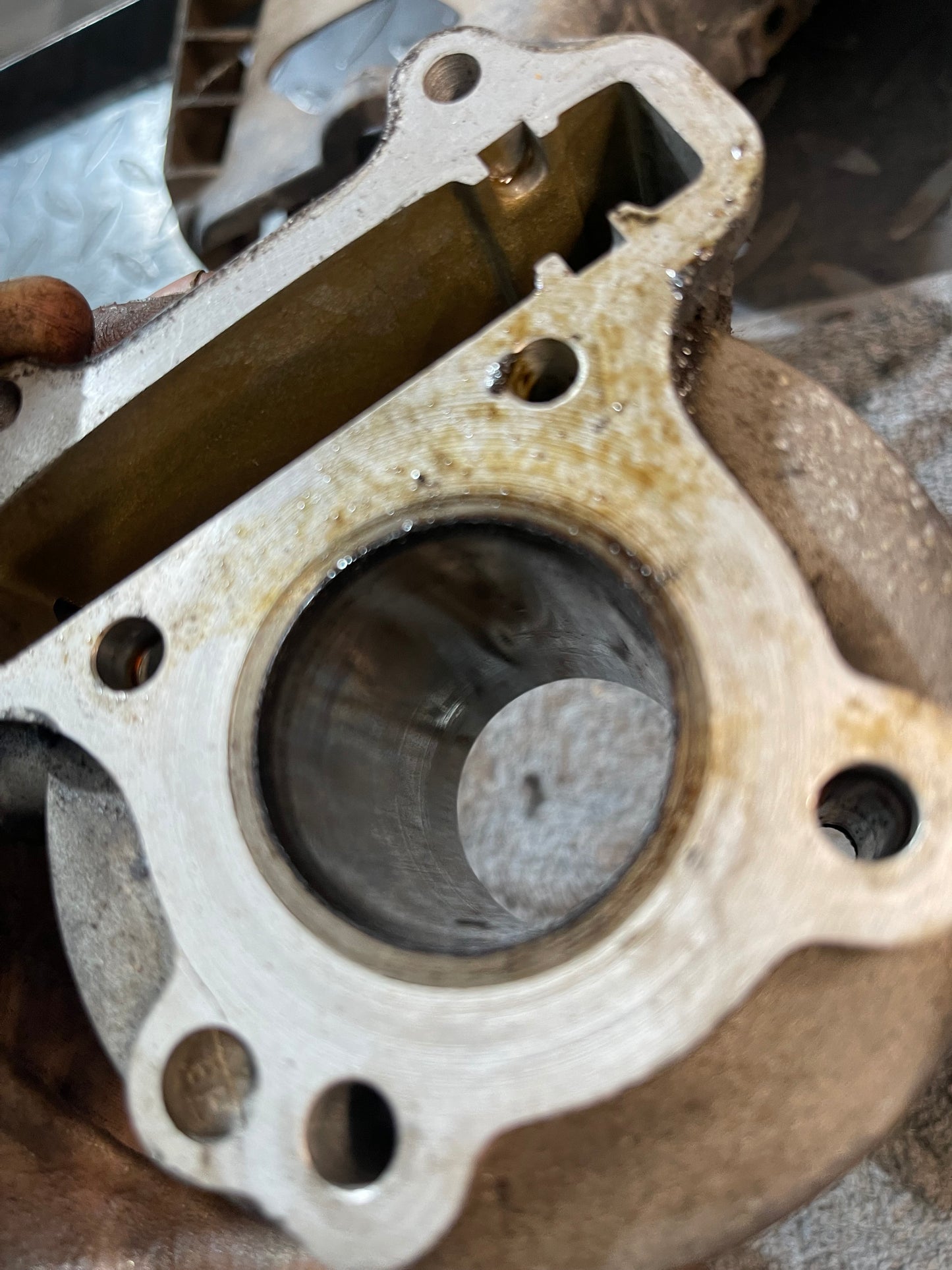 50cc Cilinderkit + Cilinderkop SYM Origineel