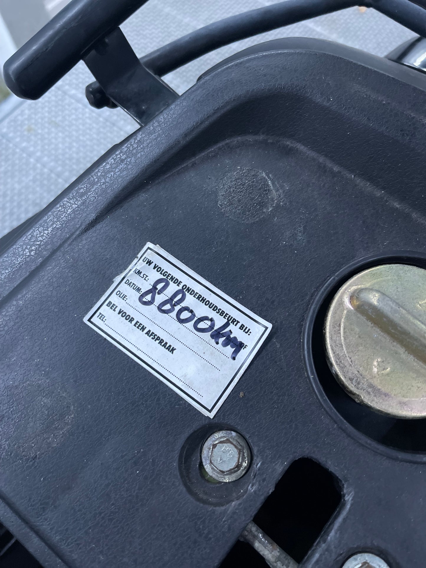 La Souris Sourini 2024