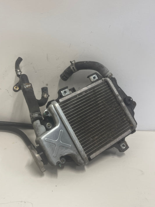 Radiateur & Rooster HONDA PCX 150 2014-2017 (PCX150 JF56/KF18)