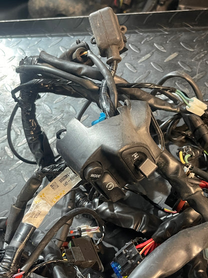 Kabelboom / Kabelharnas Gilera Fuoco 500 2013-2015