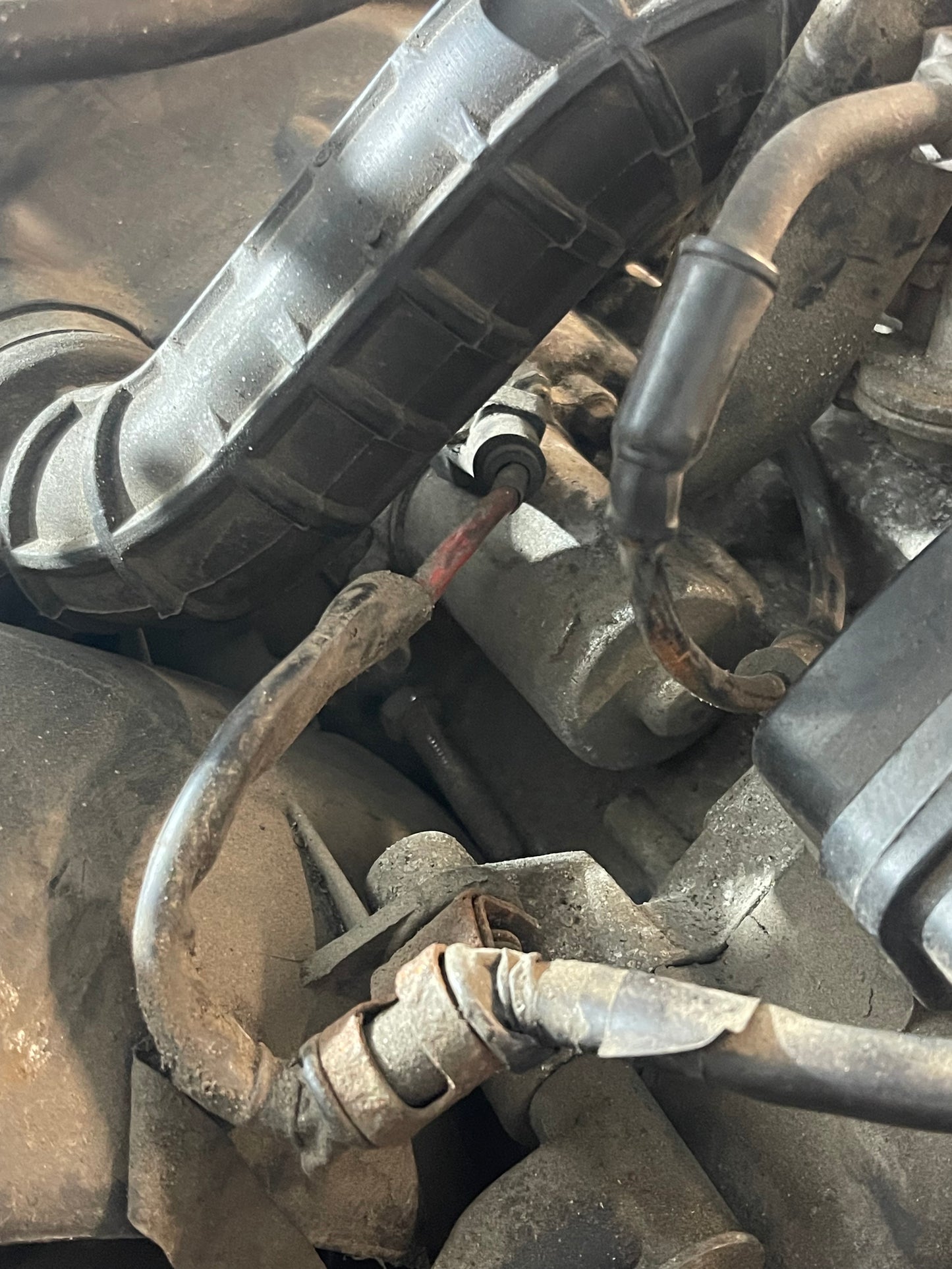 Compleet Motorblok Piaggio Vespa S 50 4 Takt (8500KM)